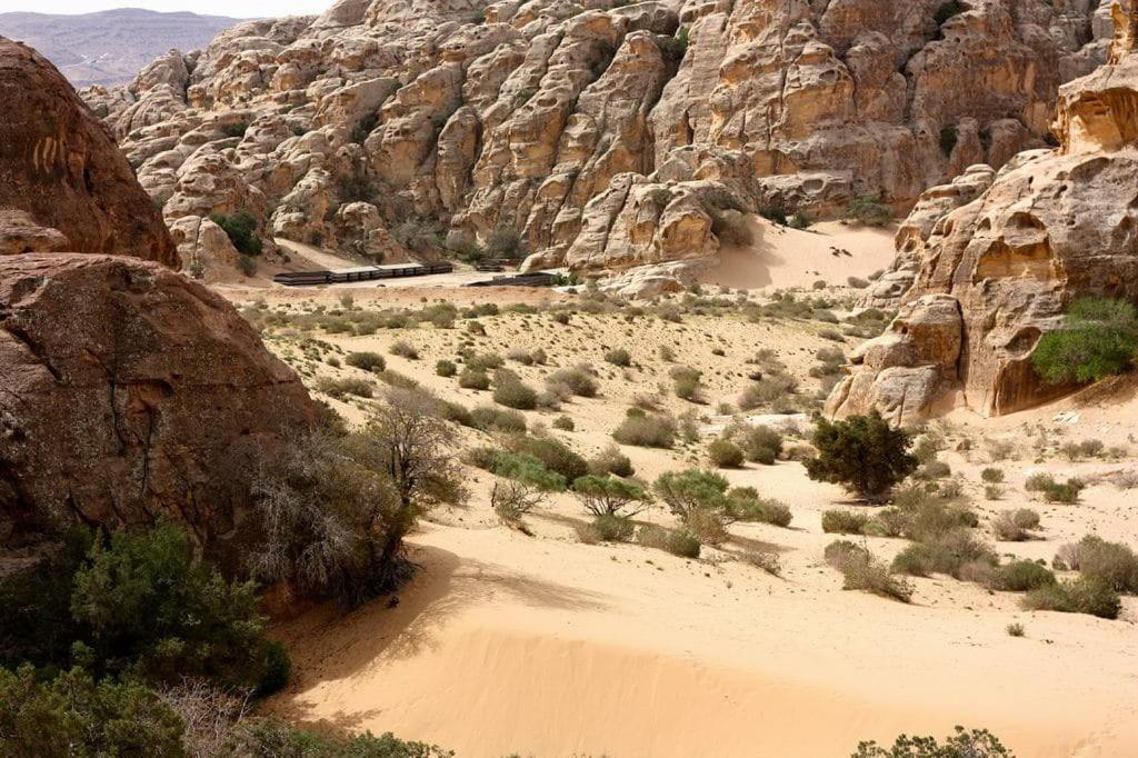 Ammarin Bedouin Camp Wadi Musa Exterior foto