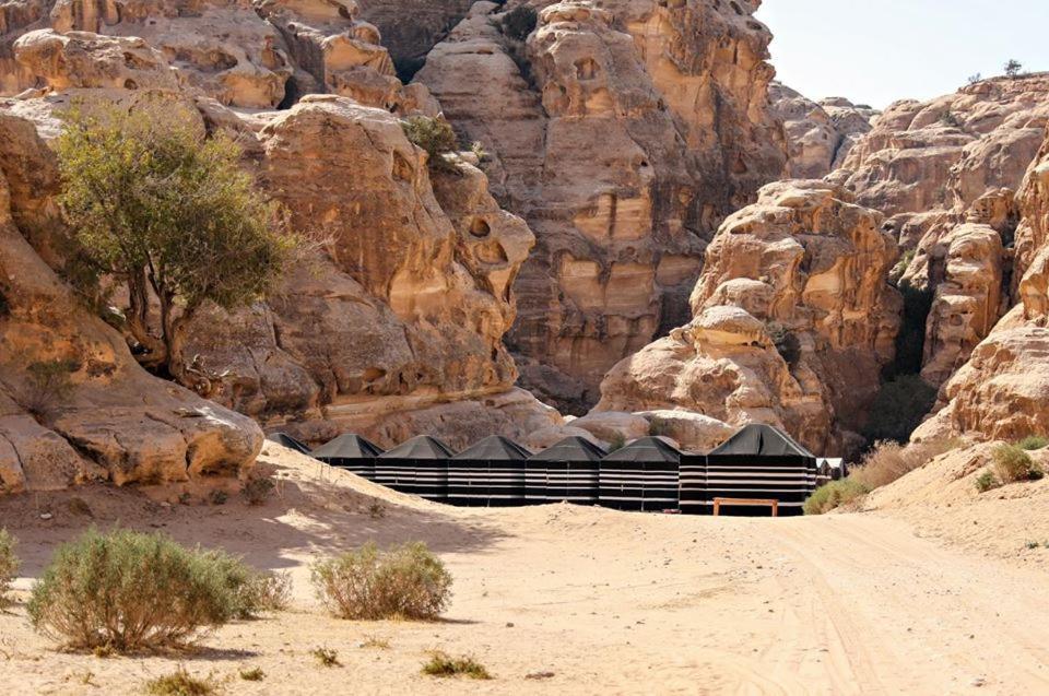 Ammarin Bedouin Camp Wadi Musa Exterior foto