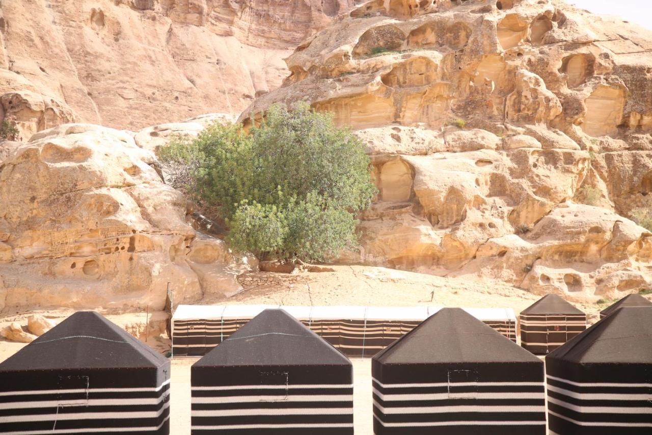 Ammarin Bedouin Camp Wadi Musa Exterior foto